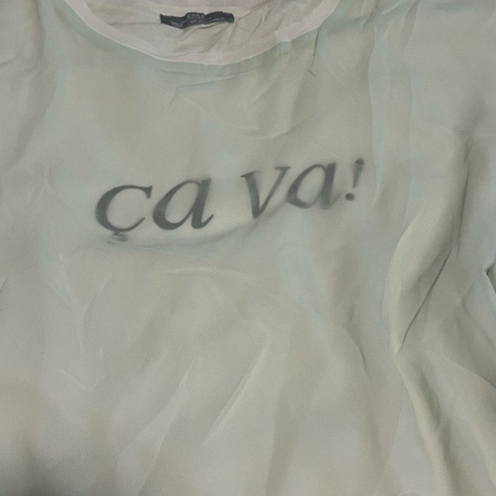 Zara Light Green Sheer Tee View 2